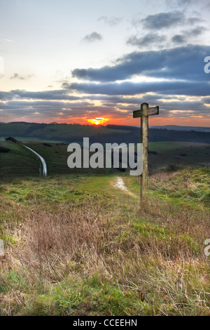 Öffentliche Maultierweg Fingerposts auf dem Beacon Hill, South Downs Way, in der Nähe von South Harting bei Sonnenaufgang im Januar Stockfoto