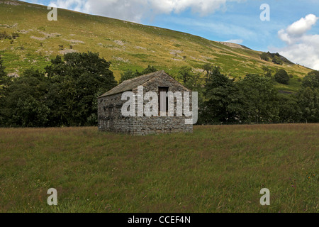 Ein Feld Scheune in der Nähe von Muker Swaledale Yorkshire Stockfoto