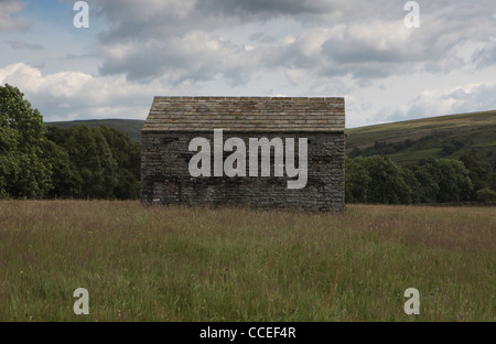 Ein Feld Scheune in der Nähe von Muker Swaledale Yorkshire Stockfoto