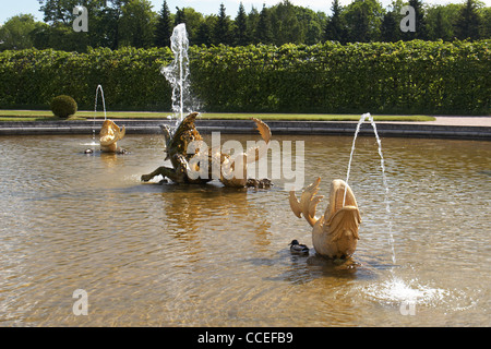 Brunnen Stockfoto