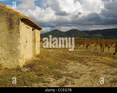 Ein Cabanon auf einem Weingut in Rasteau, Vaucluse, Provence, Frankreich. Stockfoto