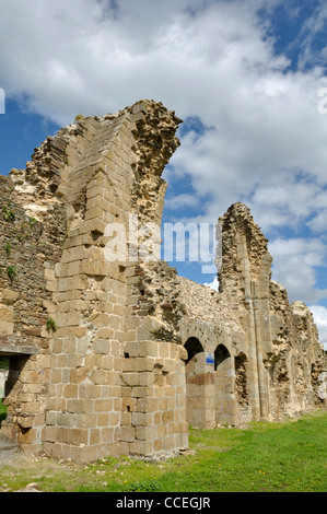 Die Ruinen der Abtei von Savigny, XII (Savigny le Vieux, Normandie, Frankreich). Stockfoto