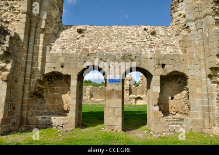 Die Ruinen der Abtei von Savigny, XII (Savigny le Vieux, Normandie, Frankreich). Stockfoto