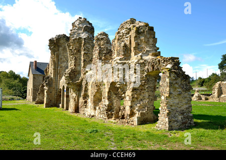 Die Ruinen der Abtei von Savigny, XII (Savigny le Vieux, Normandie, Frankreich). Stockfoto