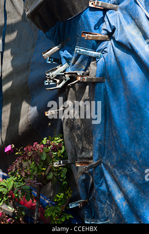 Heavy-Duty-clips sicher Leinwand in einem Zelt Haus für die Begasung Stockfoto