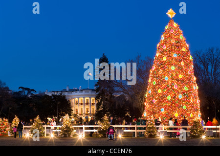 Der National Christmas Tree vor dem weißen Haus Washington DC mit Besuchern und der Festzug des Friedens Stockfoto