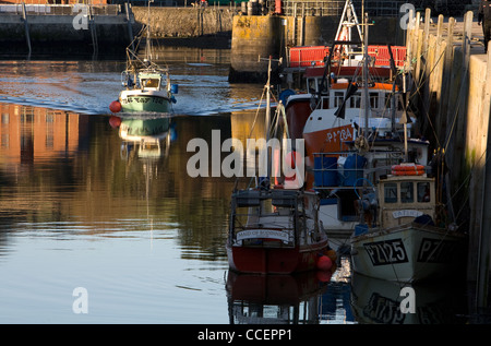 Ein Fischerboot betritt Padstow Hafen im Abendlicht. Stockfoto