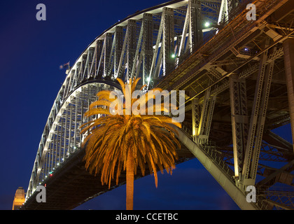 Sydney Harbour Bridge mit Palme Stockfoto