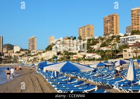 Sonnenliegen am Strand in Benidorm Stockfoto