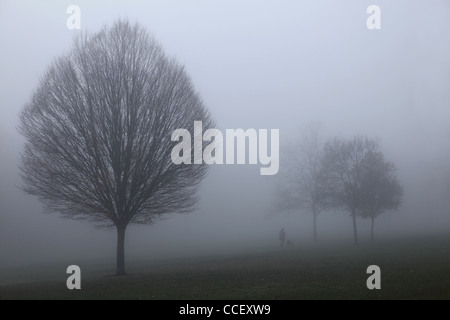 Ein Mann zu Fuß einen Hund im Nebel auf dem Lande Stockfoto