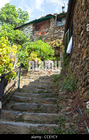 Alte Steintreppe im italienischen Dorf. Vertikale erschossen Stockfoto