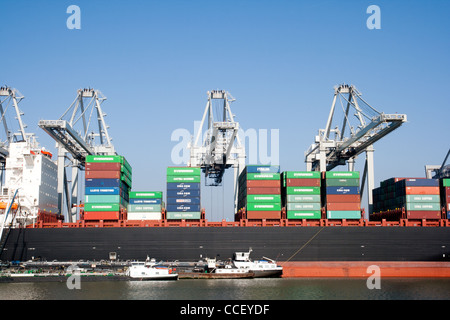 Containerschiff im Hafen von Rotterdam angedockt Stockfoto