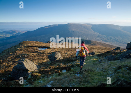 Walker auf der Knockanaffrin Ridge, Comeragh Mountains, Grafschaft Waterford, Irland. Stockfoto