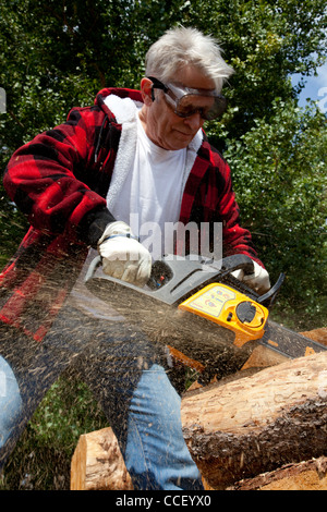 Forstwirtschaftliche Arbeiter schneiden Baum mit Kettensäge Stockfoto