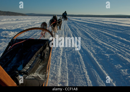 Hundeschlitten in Jukkasjärvi, in der Nähe von Kiruna, Schweden, über den gefrorenen Fluss mit Schnee bedeckt. Stockfoto