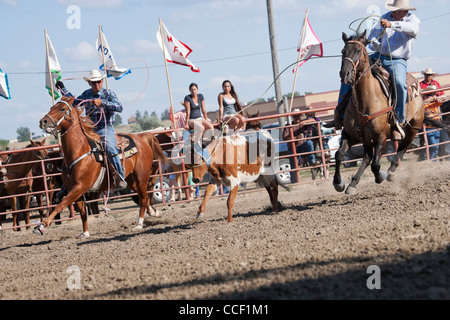 Crow Fair indische Ureinwohner Montana Pferd USA Stockfoto