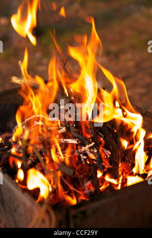 Lagerfeuer im Grill im Wald hautnah Stockfoto