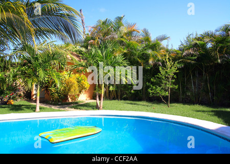 Privater Pool mit Palmen Stockfoto