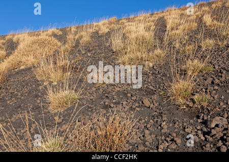 Lavafeld am Ätna, Sizilien, Italien Stockfoto