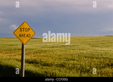 Stoppen Sie vor Schild in der Mitte von nirgendwo, Idaho Stockfoto
