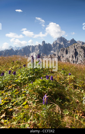 Ansichten der Cadini di Misurina gesehen von Tre Cime di Lavaredo, in den italienischen Dolomiten Alpen Stockfoto