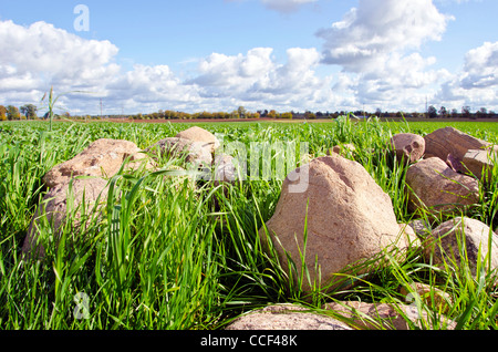 Steinen in Haufen gestapelt tendenziell Form Rasen umgeben von landwirtschaftlich genutzten Feldern. Stockfoto