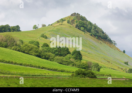 Knockfarrel Hügel in der Nähe von Dingwall, Ross-Shire, Schottland. Stockfoto