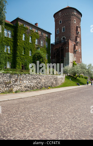 Wawel in Krakau. Stockfoto