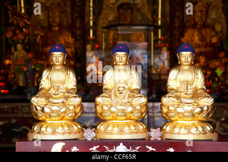 Reihe von drei kleinen goldenen Buddha-Statuen im Kloster der zehntausend Buddhas Sha tin neue Gebiete Hongkong Sonderverwaltungsregion Hongkong China Asien Stockfoto