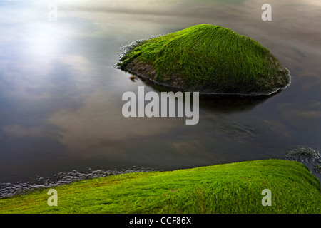 Seascape Algen am felsigen Ufer Langzeitbelichtung macht glatte Meeresoberfläche Stockfoto