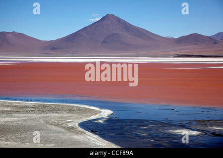 Laguna Colorada, Höhenlage See in der Nähe von Bolivien Salar de Uyuni, der weltweit größten Salinen. Stockfoto