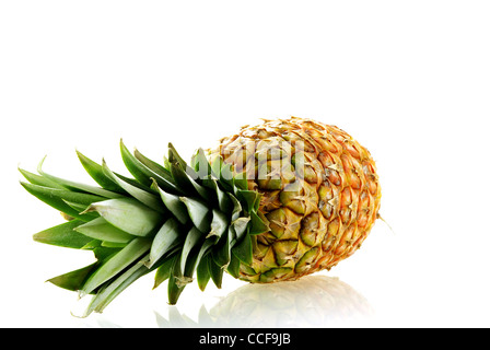 frische reife Ananas auf weißem Hintergrund mit Reflexion Stockfoto