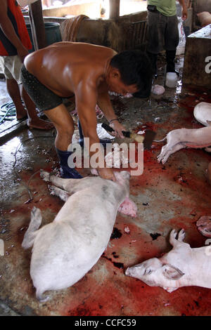 31. Dezember 2010 - Cotabato, Philippinen - Filipino Arbeiter in einer Fleischerei in den südlichen Philippinen Cotabato vorzubereiten und gebratene Schweine, ein beliebtes Gericht für Feiertage und besondere Anlässe.  (Kredit-Bild: © Jeoffrey Maitem/ZUMApress.com) Stockfoto