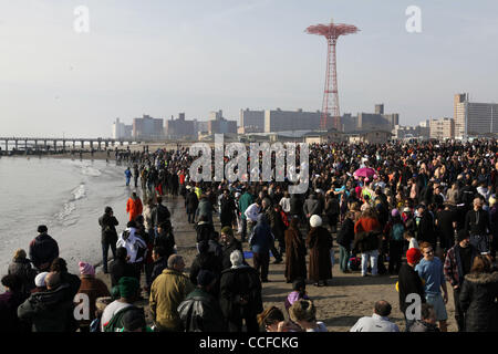 1. Januar 2011 teilnehmen - New York, New York, USA - Menschen in der jährlichen Coney Island Polar Bear Club Silvester Tag schwimmen durch laufen in den Ozean - und dann läuft gleich wieder heraus, in der Regel. Coney Island Polar Bear Club behauptet sich als die älteste Winter Baden Organisation in den USA und att Stockfoto