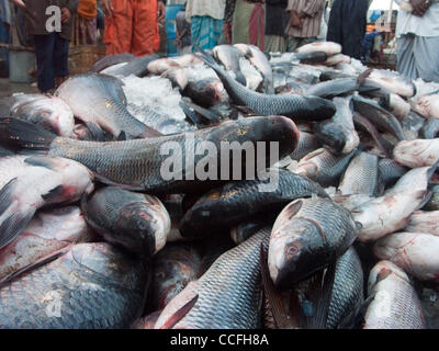 Fisch in einen Fischmarkt im Hafen des Buriganaga Flusses in Dacca, Bangladesch Stockfoto