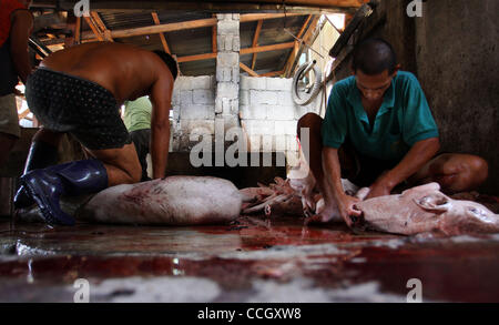 31. Dezember 2010 - Cotabato, Philippinen - Filipino Arbeiter in einer Fleischerei in den südlichen Philippinen Cotabato vorzubereiten und gebratene Schweine, ein beliebtes Gericht für Feiertage und besondere Anlässe. Die Schweine werden gereinigt und Eingeweide entfernt vor dem Braten. (Kredit-Bild: © Jeoffrey Maitem/ZUMApress.com) Stockfoto