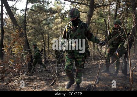 28. November 2010 suchen ein Rakete Blindgänger im gebrochenen Dorf - Yeonpyeong Island, Südkorea - südkoreanische Marinesoldaten. Dutzende von Artillerie-Granaten abgefeuert durch Nordkorea schlug die Insel am 23. November, Truppen die vier Tote und weitere verletzte und Rückkehr Feuer von südkoreanischen aufgefordert. (Cre Stockfoto