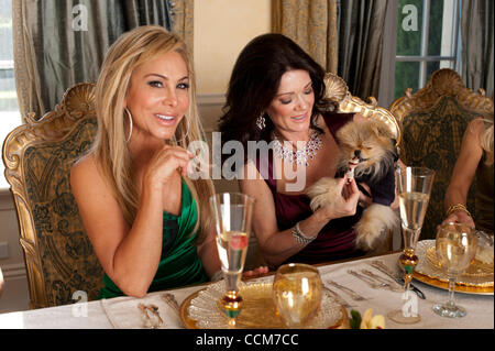 8. November 2010 - Beverly Hills, CA, USA - The Real Housewives Of Beverly Hills Besetzung genießen. Thanksgiving-Dinner bei Adrienne Maloofs nach Hause... ADRIENNE MALOOF, LISA VANDERPUMP & GIGGY (Kredit-Bild: © Lisa Rose/ZUMAPRESS.com) Stockfoto