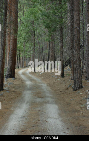 Sep 23, 2004; Kings Canyon, Kalifornien, USA; Landstraße, Kings Canyon National Park. "In Gottes Wildheit liegt die Hoffnung der Welt - der süße, frische, unblighted, unerlöste Wildnis." Zitat von John Muir, 1838-1914, Gründer von The Sierra Club. Stockfoto