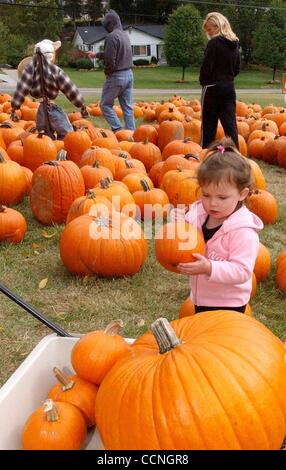 16. Oktober 2004 weiterhin - Cincinnati, Ohio, USA - Ttwo Jahr alten ABBY BRUNNER, Tochter von Perry und Jill Brunner von Delhi, Hintergrund, ihren Wagen in der St. Johannes Kirche der Union Pumpkin Patch Neeb unterwegs viele kleine Kürbisse hinzufügen. (Kredit-Bild: © Ken Stewart/ZUMA Press) Stockfoto