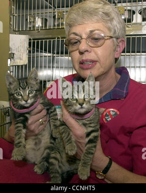 Contra Costa County Animal Control Volunteer Rose Marie, Cq, hält zwei Monate alten männlichen Kätzchen, ist braun gestromt und andererseits ein brauner Tiger, beide inländischen kurze Haare und zur Adoption an der Pinole Tier Services Department in Pinole, Kalifornien, auf Mittwoch, 6. Oktober 2004. (EDDIE LEDES Stockfoto