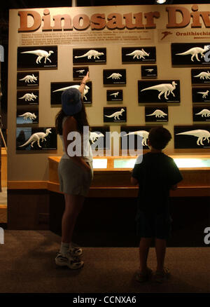 15. Juni 2003 - Brooks, Alberta, Kanada - Touristen betrachten Sie eine Anzeige in einem Museum an der königlichen Tyrell Museum Feldstation im Dinosaur Provincial Park in der Nähe von Brooks. Viele bedeutende fossile Funde wurden in Alberta entdeckt. Touristen, die nach dem "Dino Trail" Besuch von Museen und Graben Websites, Stockfoto