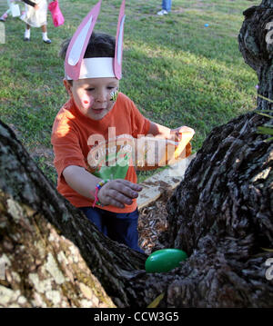 2. April 2010 - New Port Richey, Florida, USA - BRENDAN FITTERER |  Times.PT 320766 FITT easter 2 (02.04.2010 New Port Richey). Max Brazier, 5, nähert sich ein grünes Osterei er in einem Baum während der Morgen Ei Jagd entdeckt Freitag an Golf High School. Kinder versammelten sich zum Eiersuchen, Kunsthandwerk, fa Stockfoto