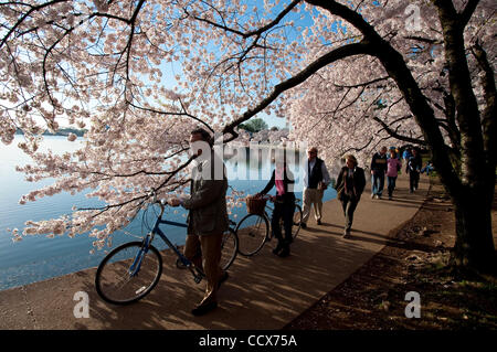 2. April 2010 - Washington, District Of Columbia USA - Besucher das Kirschblütenfest wandern aber die Tulpe-Bibliothek in der Nähe von Tidal Basin. Das National Cherry Blossom Festival ist eine jährliche zweiwöchigen Veranstaltung, die der Frühling in Washington, DC sowie das 1912 Geschenk der Kirsche b feiert Stockfoto