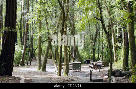 Ein Picknick-Bereich im Portola Redwoods State Park Mittwoch, 12. März 2008. California State Parks hat vorgeschlagenen schließen den Park und den Campingplatz als Teil des Ziels erforderlichen Budgetkürzungen zu erfüllen. SAN MATEO COUNTY TIMES/JOHN GREEN Stockfoto