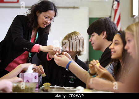 032608 traf Skchinese 0050891A Personal Photo by Bruce R. Bennett/The Palm Beach Post mit Geschichte von Christina DeNardo--West Palm Beach--Li Lin (Cq, links) lehrt Chinesisch an Watson B. Duncan Middle School; Hier macht sie Knödel mit ihrem Schüler der 8. Klasse.  NICHT FÜR DEN VERTRIEB AUßERHALB COX PAPERS Stockfoto