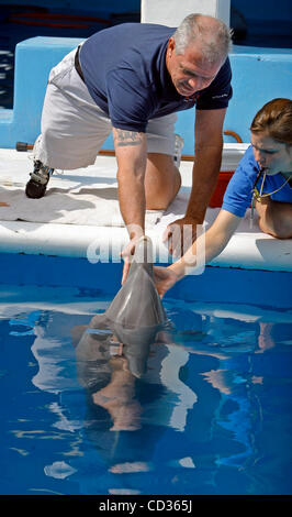 (CLEARWATER 14.04.2008) Foto #1.)  James Bond, 50, Tampa, ein Armee-Veteran, der sein Bein bei einem Motorradunfall vor 21 Jahren verloren, berührt 'Winter' Tail-weniger Delfin zusammen mit Clearwater Marine Aquarium head Trainer Abby Stein. -Die Clearwater Marine Aquarium hat ein Programm eingerichtet. Stockfoto