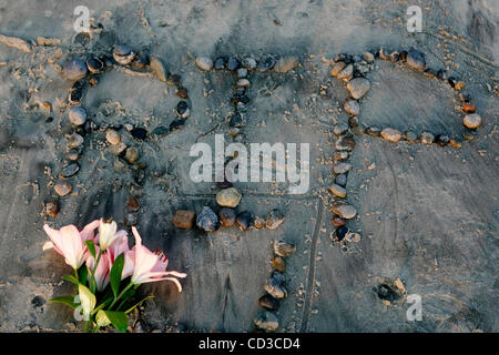 25. April 2008, Solana Beach, Kalifornien, USA. Rippen Sie in der Sand mit Blumen im Fletcher Cove am Freitag nach einem Haiangriff in Solana Beach, Kalifornien.  Mandatory Credit: Foto von Eduardo Contreras/San Diego Union-Tribune/Zuma Press. Copyright 2008 San Diego Union-Tribune Stockfoto