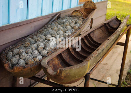 BLU 26/B Streubomben Gehäuse auf dem Display an UXO Laos Büro. Jede Bombe enthält 665 "Bomblets".  Ponsavanh, Laos. Oktober 2008.       Am 3. Dezember wird in Oslo, Norwegen und internationalen Vertrag über das Verbot der Verwendung von Cluster-Bomben von den teilnehmenden Ländern unterzeichnet. Mehr als 100 Ländern haben ag Stockfoto