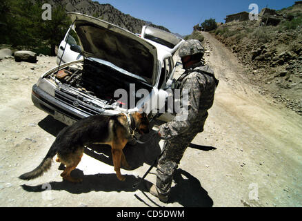 26. April 2008 wird - Paktya Provinz, Afghanistan - A militärische Working Dog zum erschnüffeln von Sprengstoff, wie alle Verkehr auf der Straße außerhalb der Bezirk Mitte für eine super Shura (treffen) für Paktya philippinisches Führer, Inspektion für VBIEDs (Fahrzeug getragen improvisierte Sprengsätze) gestoppt wird.  Die s Stockfoto